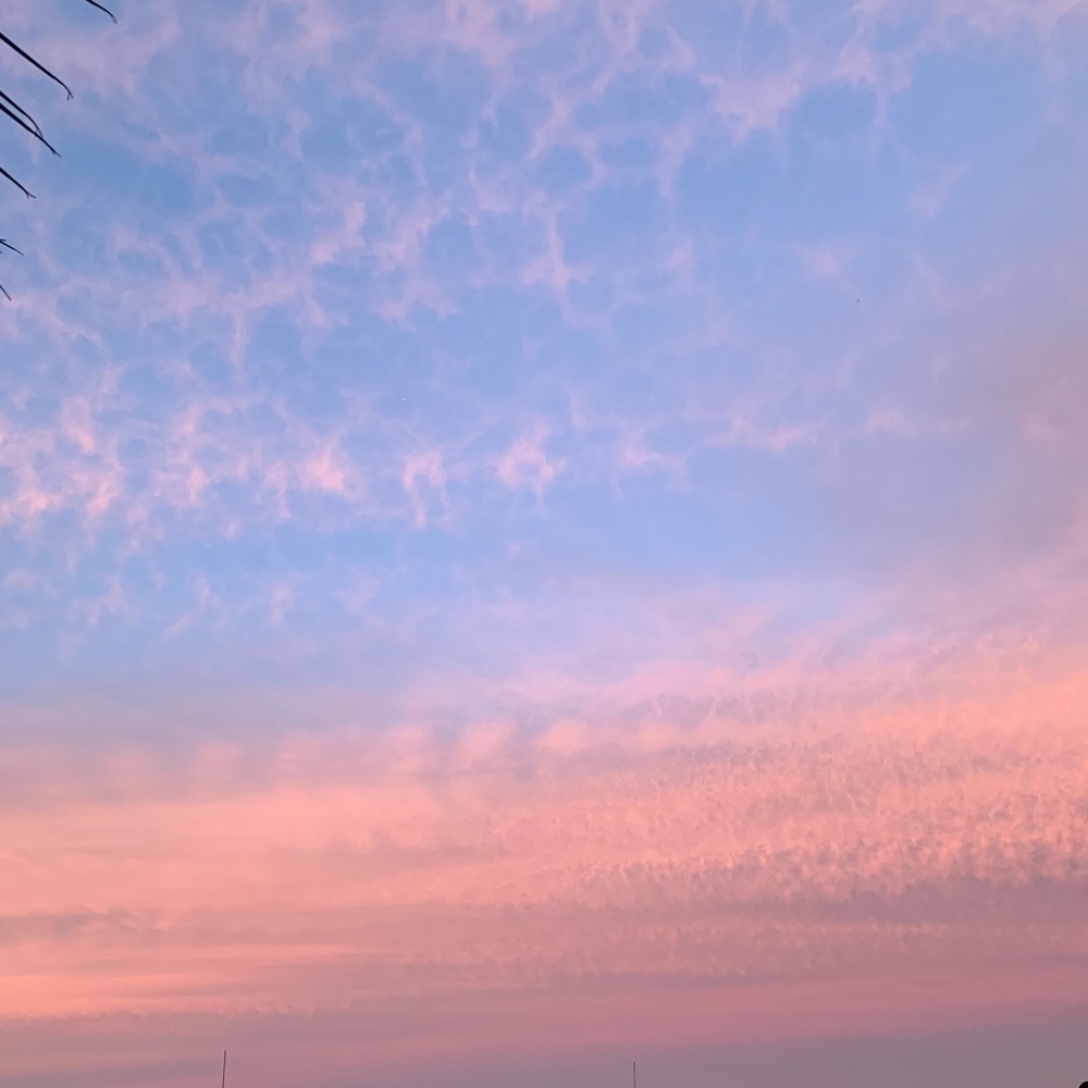 Meet your Posher, Lily